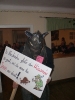 2013_01_26 Maskenball