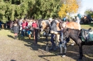 Pferdefest 2014_21