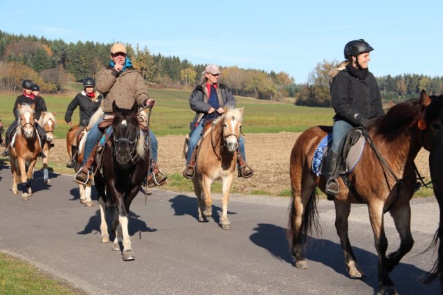 171105_Pferdesegnung